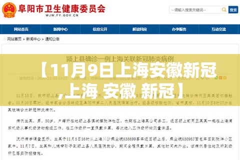 【11月9日上海安徽新冠,上海 安徽 新冠】