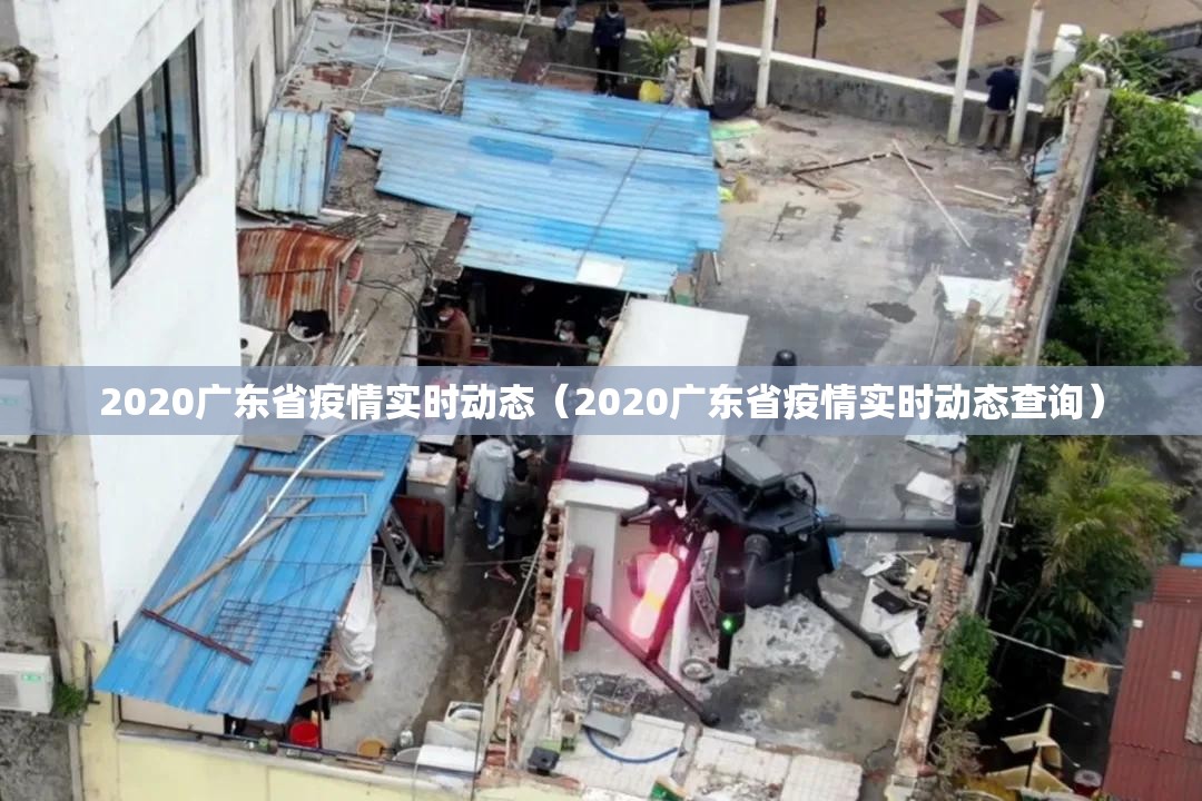 2020广东省疫情实时动态（2020广东省疫情实时动态查询）