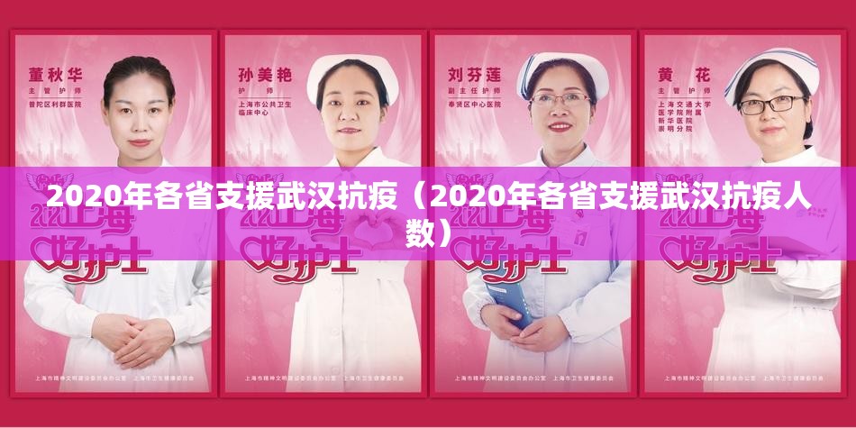 2020年各省支援武汉抗疫（2020年各省支援武汉抗疫人数）
