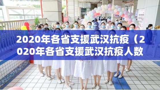 2020年各省支援武汉抗疫（2020年各省支援武汉抗疫人数）