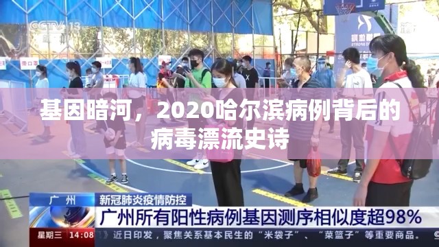 基因暗河，2020哈尔滨病例背后的病毒漂流史诗