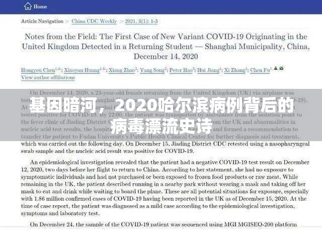 基因暗河，2020哈尔滨病例背后的病毒漂流史诗