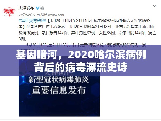 基因暗河，2020哈尔滨病例背后的病毒漂流史诗
