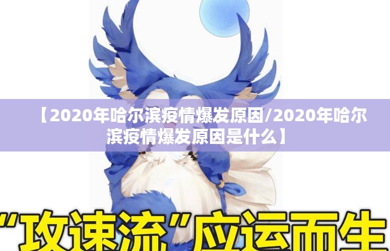 【2020年哈尔滨疫情爆发原因/2020年哈尔滨疫情爆发原因是什么】