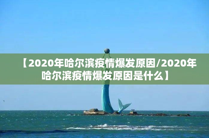 【2020年哈尔滨疫情爆发原因/2020年哈尔滨疫情爆发原因是什么】