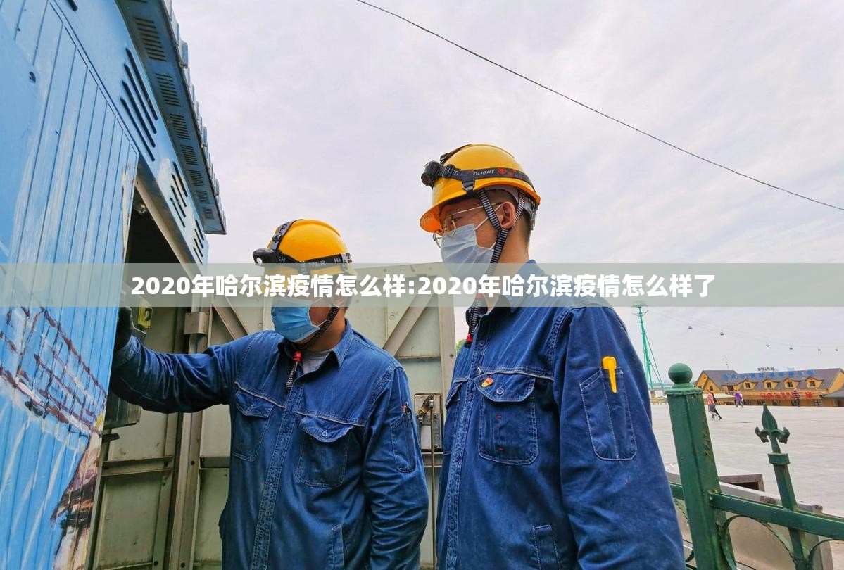 2020年哈尔滨疫情怎么样:2020年哈尔滨疫情怎么样了