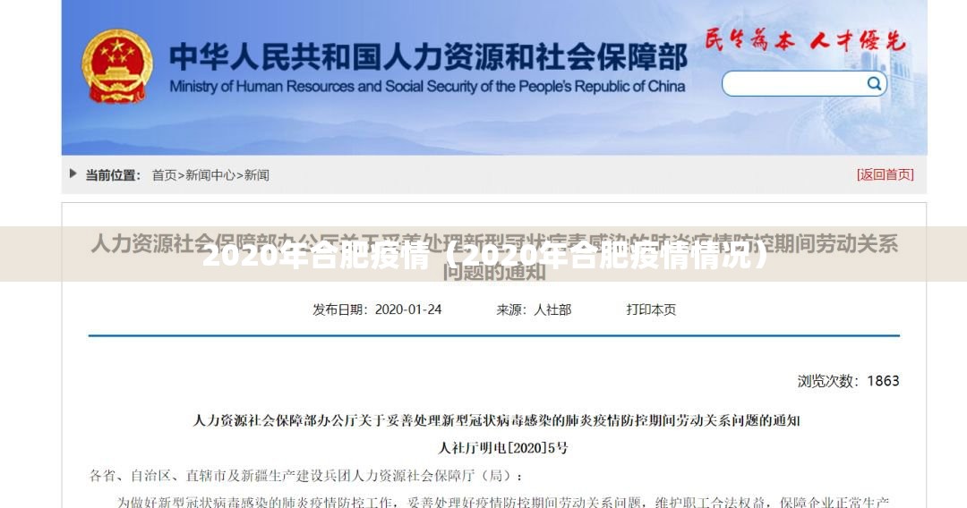 2020年合肥疫情（2020年合肥疫情情况）