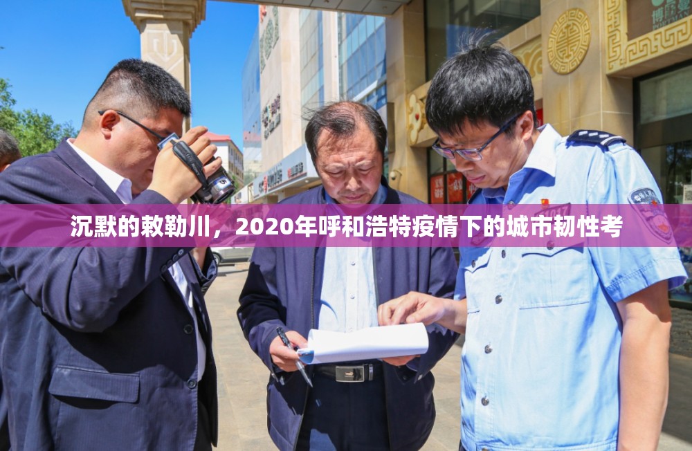 沉默的敕勒川，2020年呼和浩特疫情下的城市韧性考