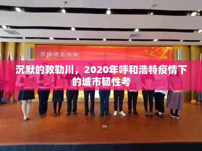 沉默的敕勒川，2020年呼和浩特疫情下的城市韧性考