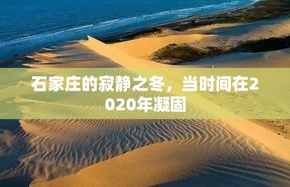 石家庄的寂静之冬，当时间在2020年凝固