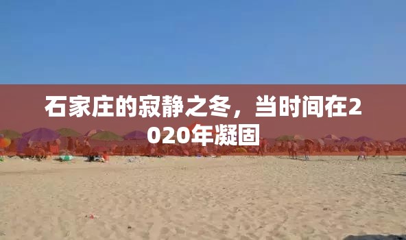 石家庄的寂静之冬，当时间在2020年凝固