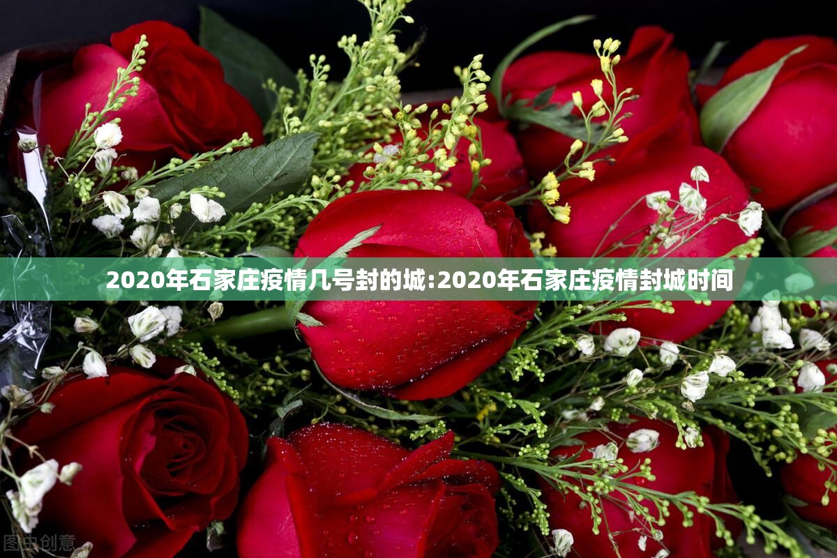 2020年石家庄疫情几号封的城:2020年石家庄疫情封城时间