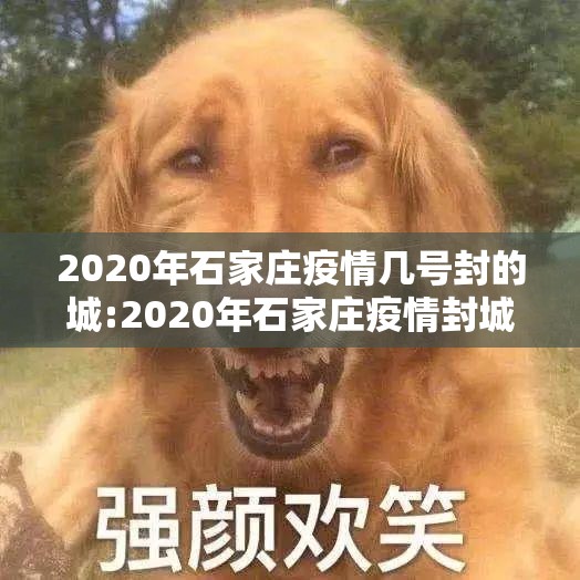 2020年石家庄疫情几号封的城:2020年石家庄疫情封城时间
