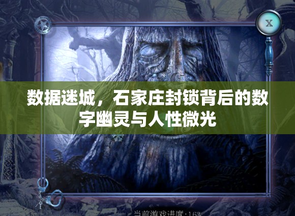 数据迷城，石家庄封锁背后的数字幽灵与人性微光