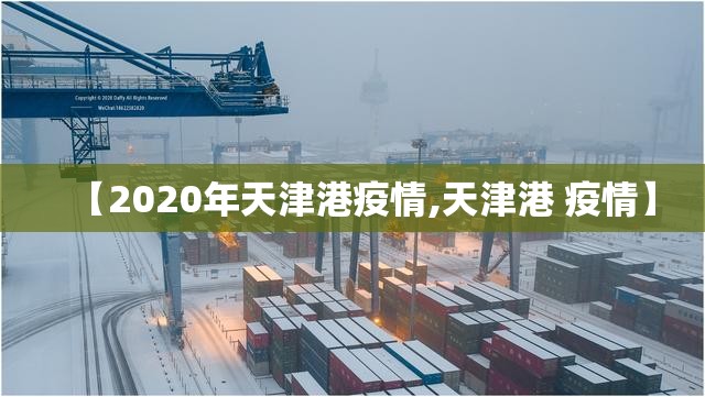 【2020年天津港疫情,天津港 疫情】
