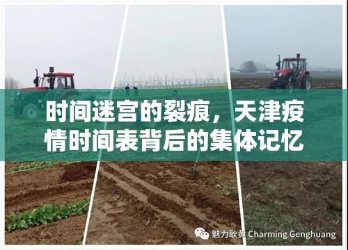 时间迷宫的裂痕，天津疫情时间表背后的集体记忆重构