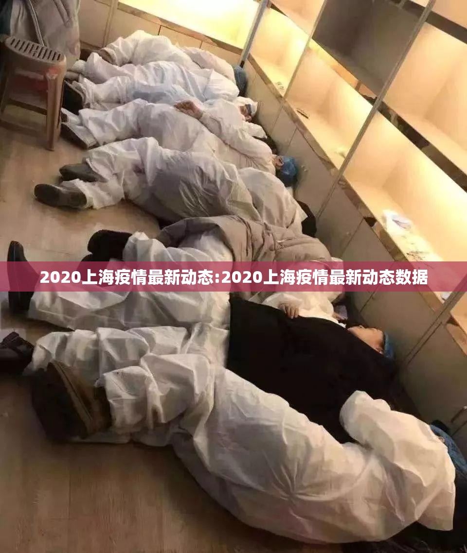 2020上海疫情最新动态:2020上海疫情最新动态数据