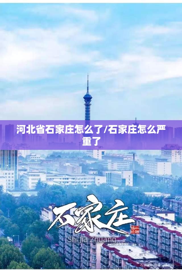 上海疫情新动向，精准防控下的挑战与希望