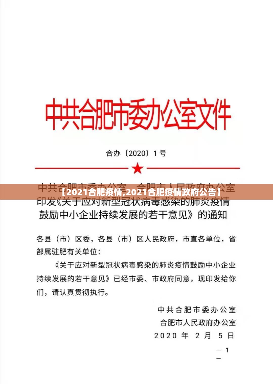 【2021合肥疫情,2021合肥疫情政府公告】