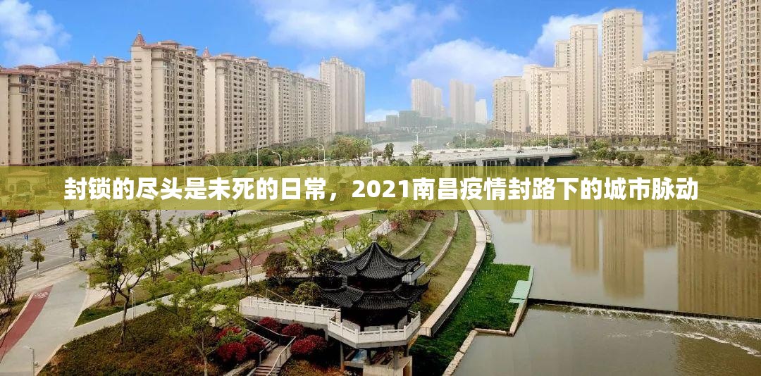 封锁的尽头是未死的日常，2021南昌疫情封路下的城市脉动