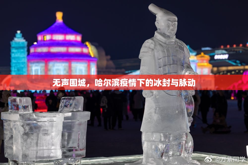 无声围城，哈尔滨疫情下的冰封与脉动