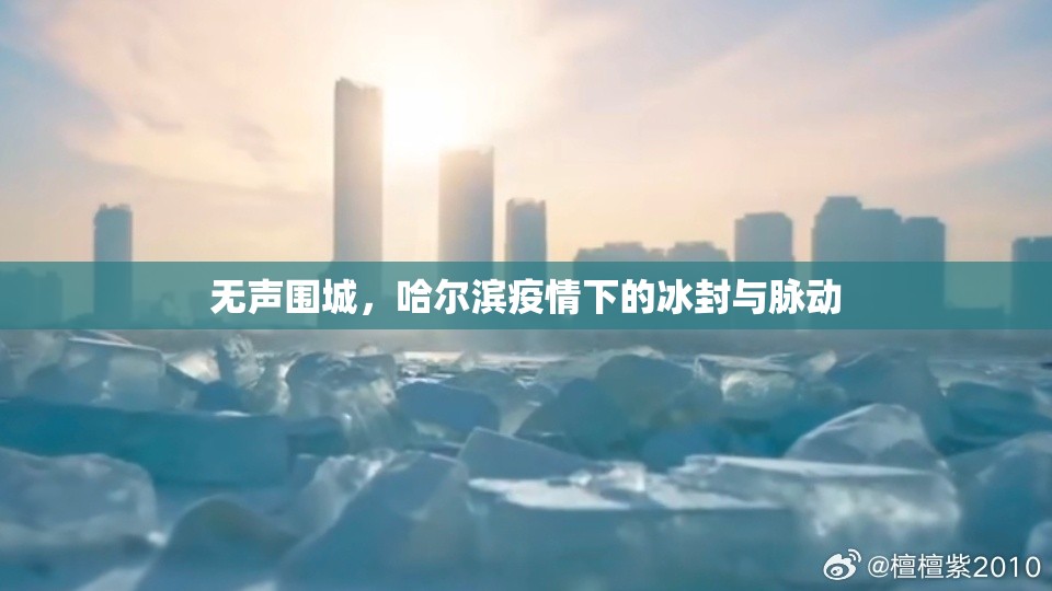 无声围城，哈尔滨疫情下的冰封与脉动
