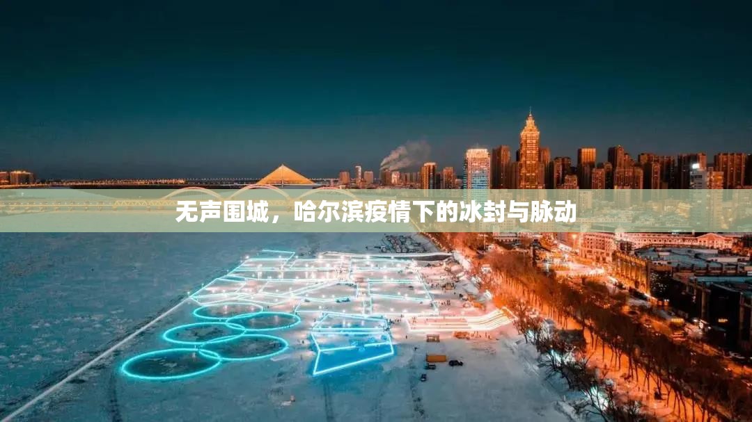 无声围城，哈尔滨疫情下的冰封与脉动