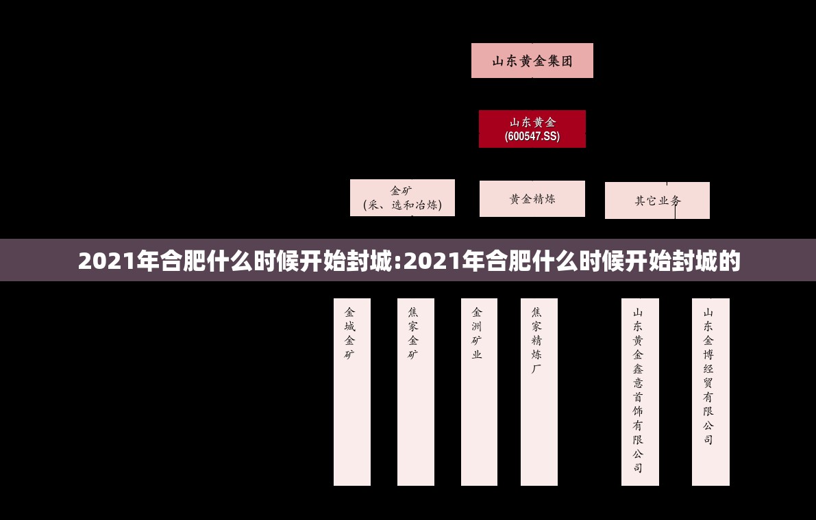 2021年合肥什么时候开始封城:2021年合肥什么时候开始封城的