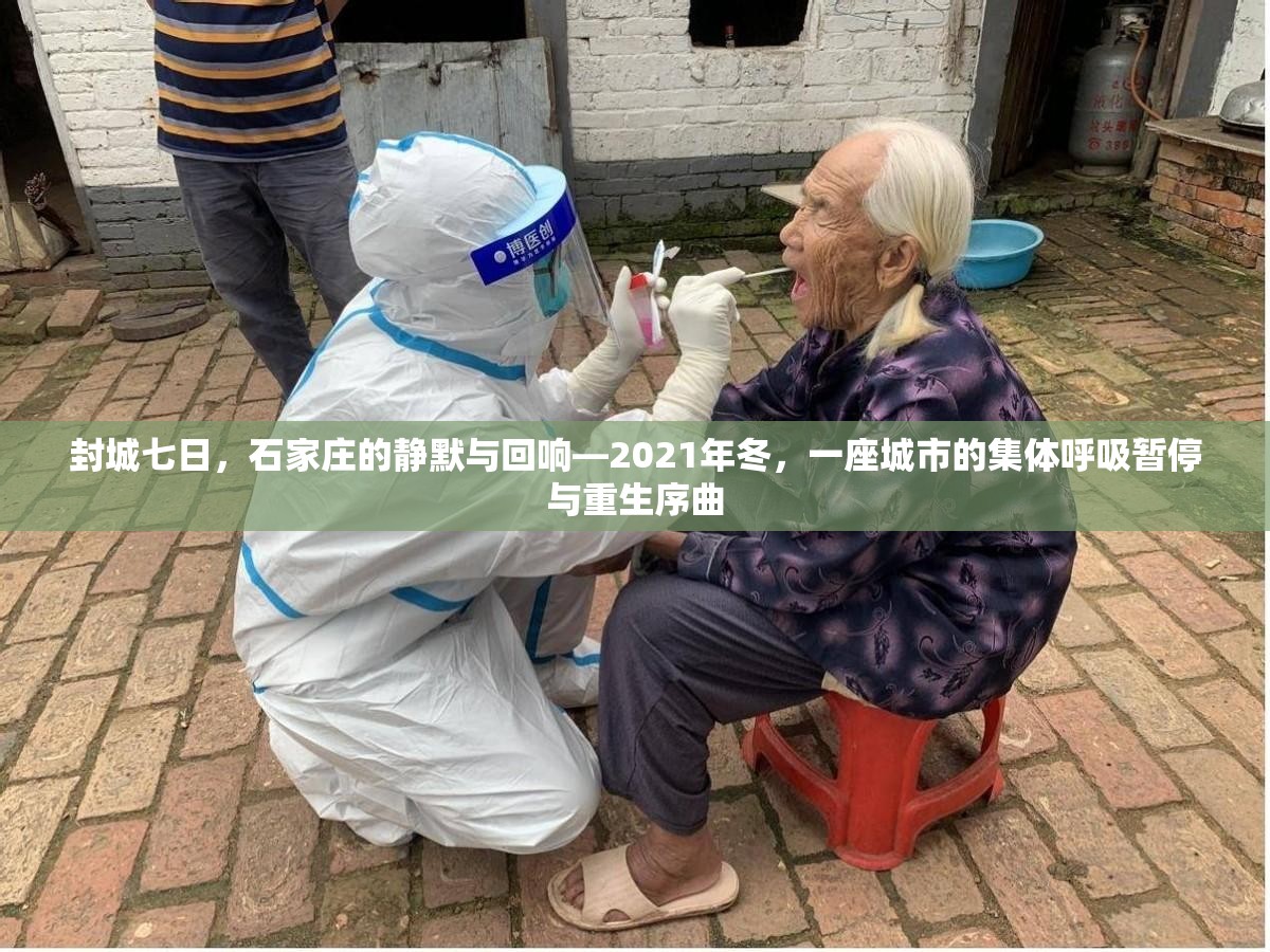 封城七日，石家庄的静默与回响—2021年冬，一座城市的集体呼吸暂停与重生序曲
