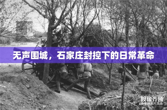 无声围城，石家庄封控下的日常革命