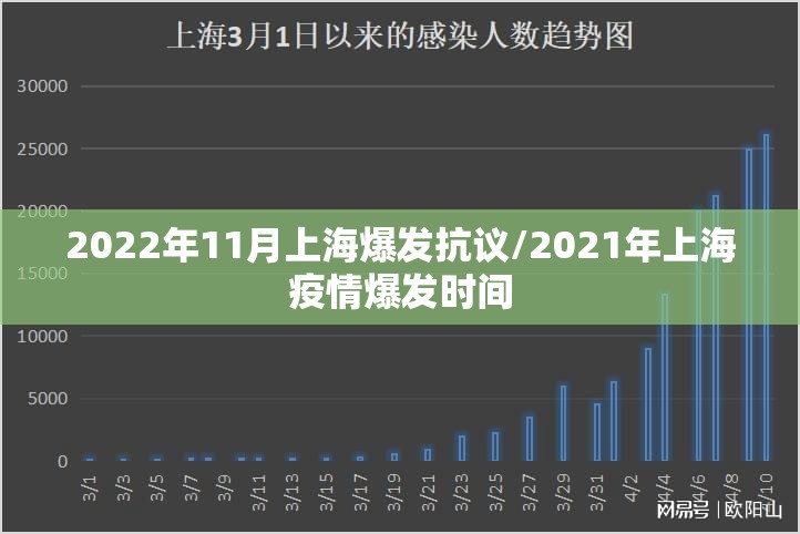 2022年11月上海爆发抗议/2021年上海疫情爆发时间