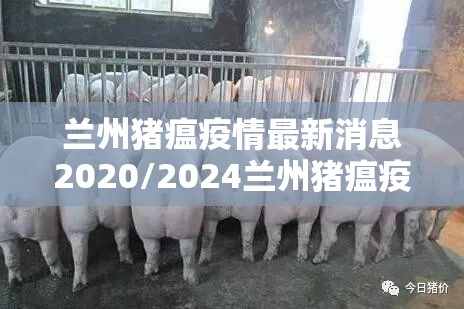 兰州猪瘟疫情最新消息2020/2024兰州猪瘟疫情最新消息