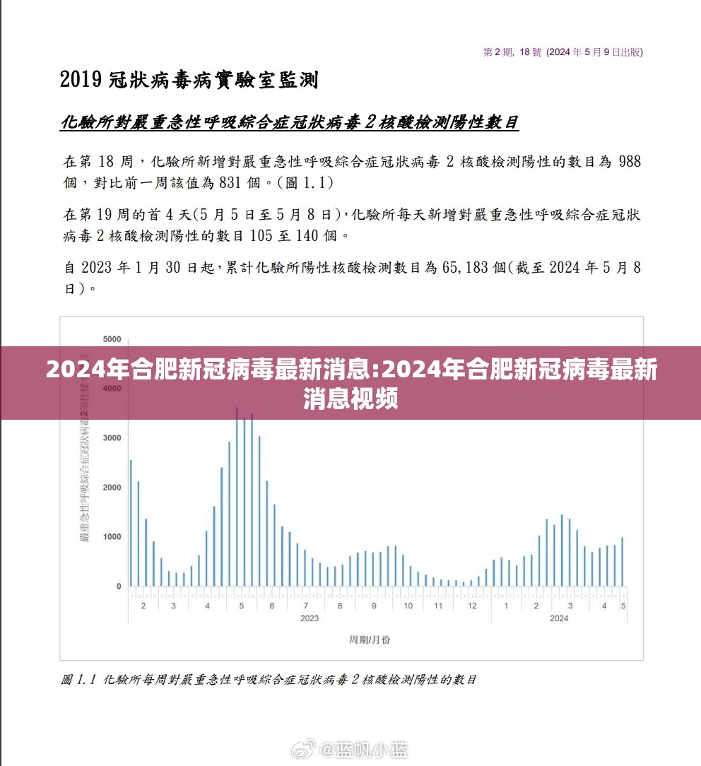 2024年合肥新冠病毒最新消息:2024年合肥新冠病毒最新消息视频