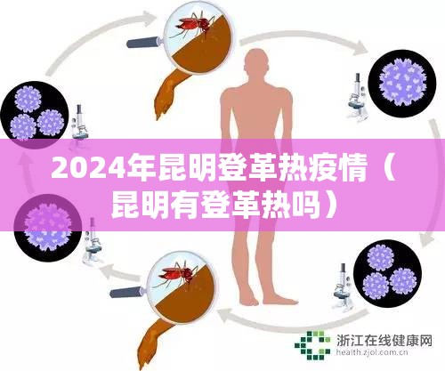 2024年昆明登革热疫情（昆明有登革热吗）