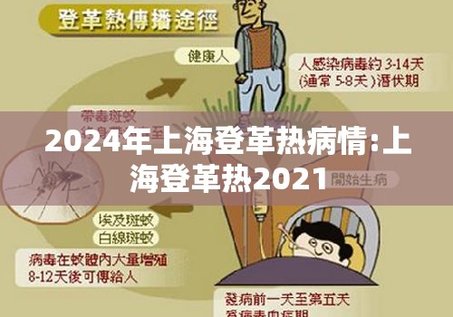 2024年上海登革热病情:上海登革热2021