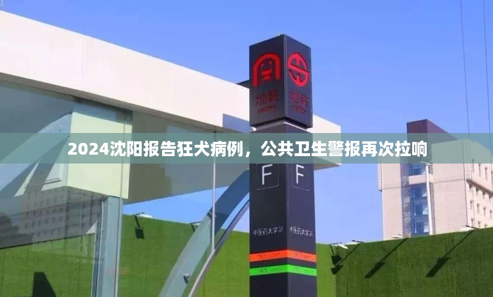 2024沈阳报告狂犬病例，公共卫生警报再次拉响