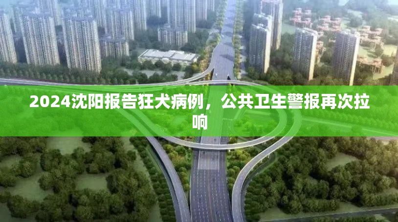 2024沈阳报告狂犬病例，公共卫生警报再次拉响