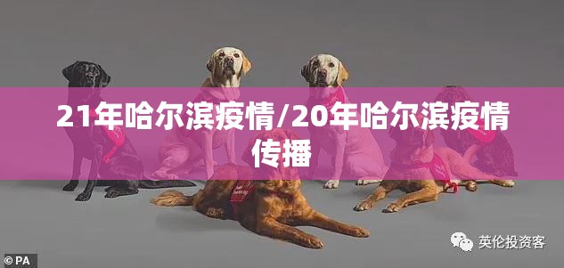 21年哈尔滨疫情/20年哈尔滨疫情传播