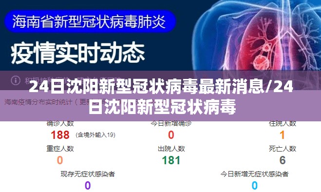 24日沈阳新型冠状病毒最新消息/24日沈阳新型冠状病毒
