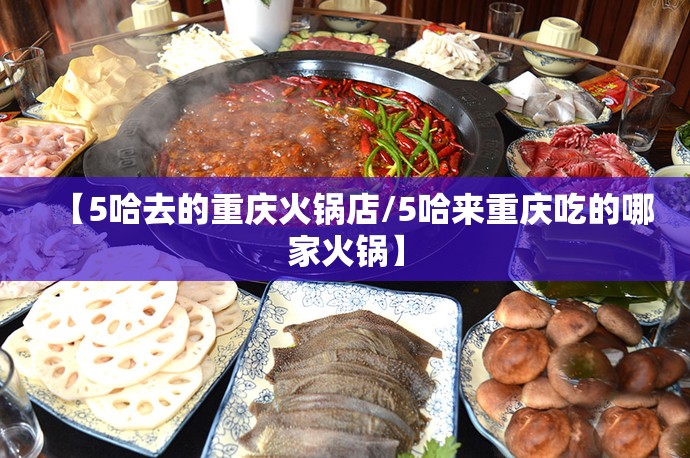【5哈去的重庆火锅店/5哈来重庆吃的哪家火锅】