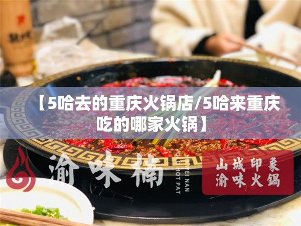 【5哈去的重庆火锅店/5哈来重庆吃的哪家火锅】