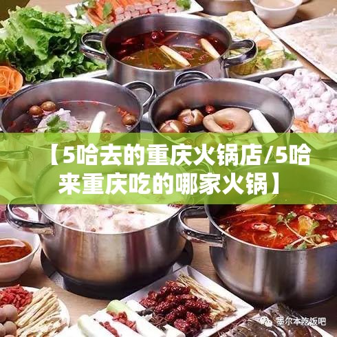 【5哈去的重庆火锅店/5哈来重庆吃的哪家火锅】