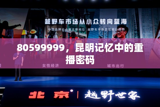 80599999，昆明记忆中的重播密码