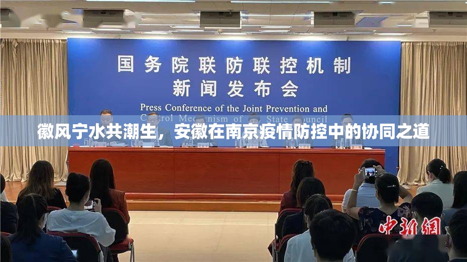 徽风宁水共潮生，安徽在南京疫情防控中的协同之道