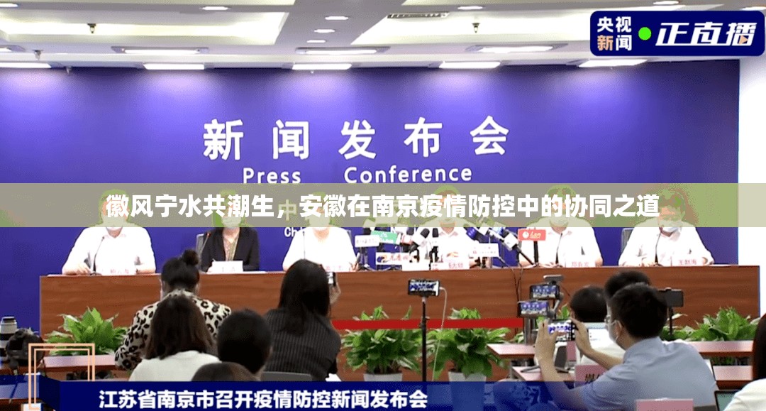 徽风宁水共潮生，安徽在南京疫情防控中的协同之道