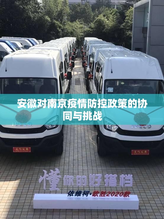 安徽对南京疫情防控政策的协同与挑战