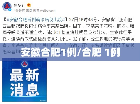 安徽合肥1例/合肥 1例