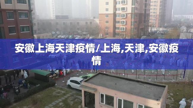 安徽上海天津疫情/上海,天津,安徽疫情