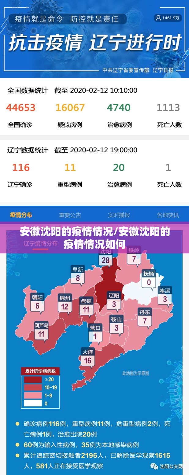 安徽沈阳的疫情情况/安徽沈阳的疫情情况如何