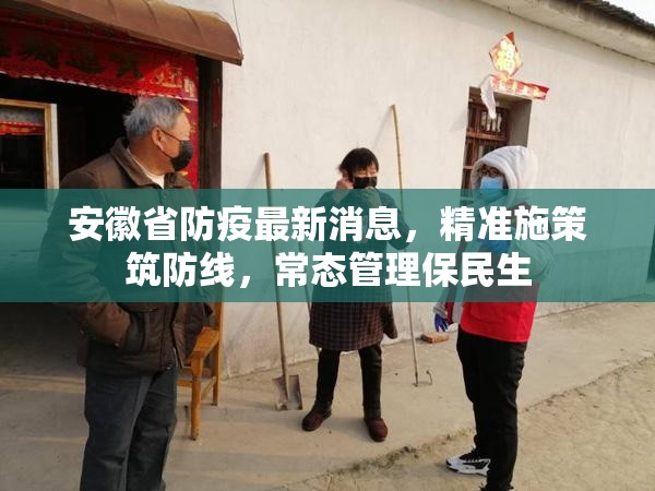 安徽省防疫最新消息，精准施策筑防线，常态管理保民生